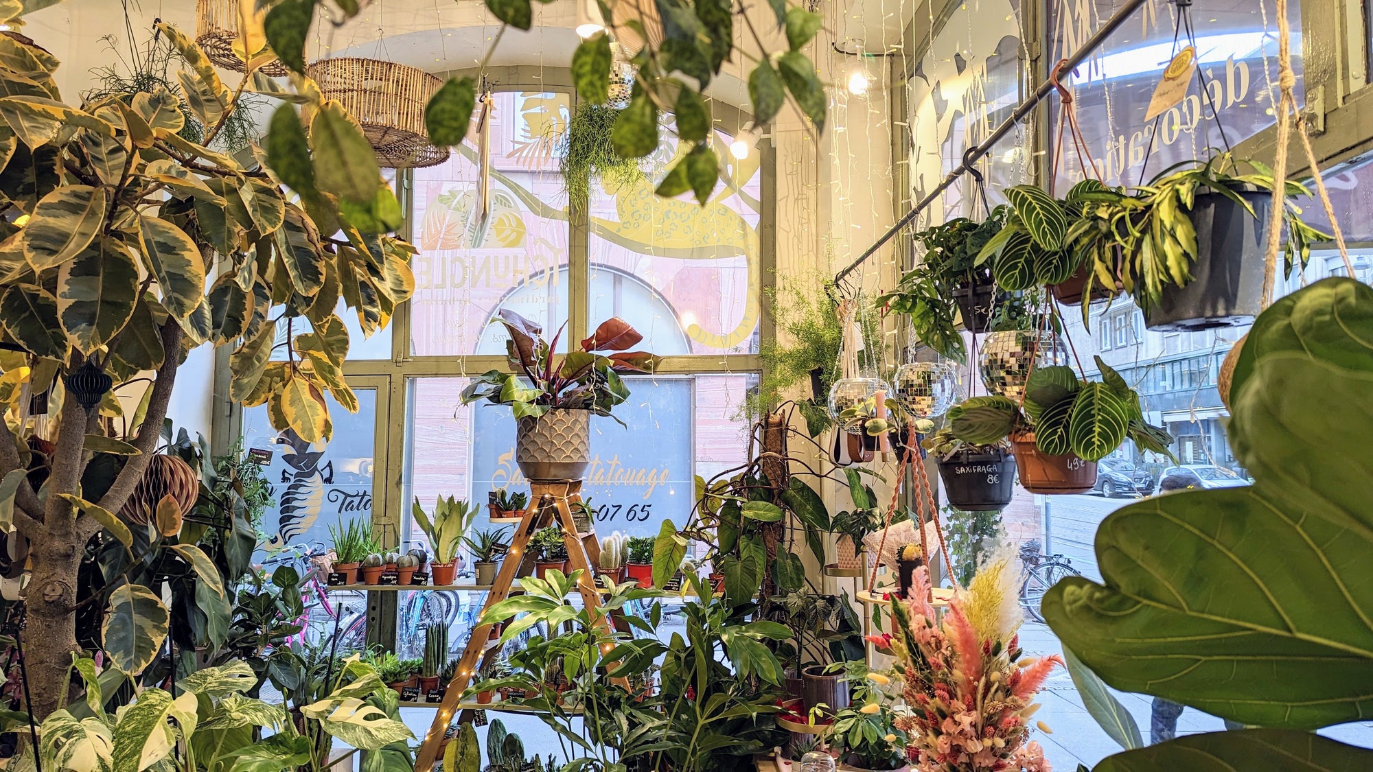 Nos conseils pour préparer tes plantes pour l'été