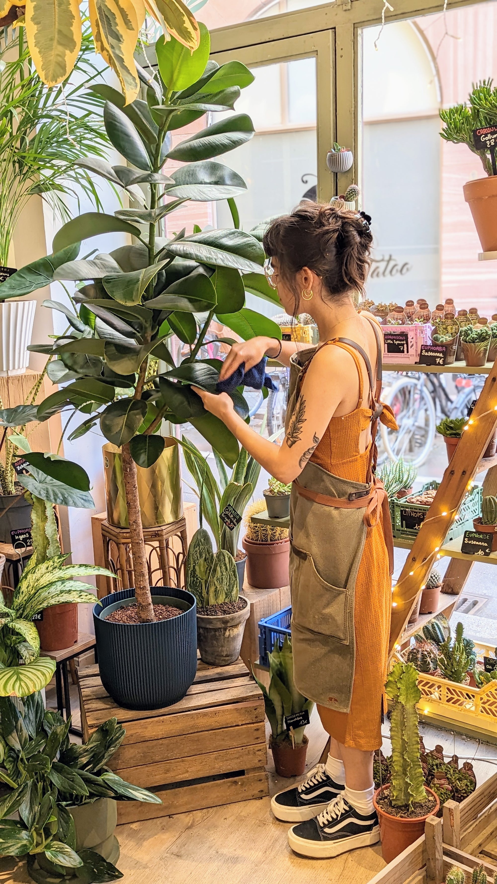 Bichonne ta plante en nettoyant ses feuilles 🌿🚿