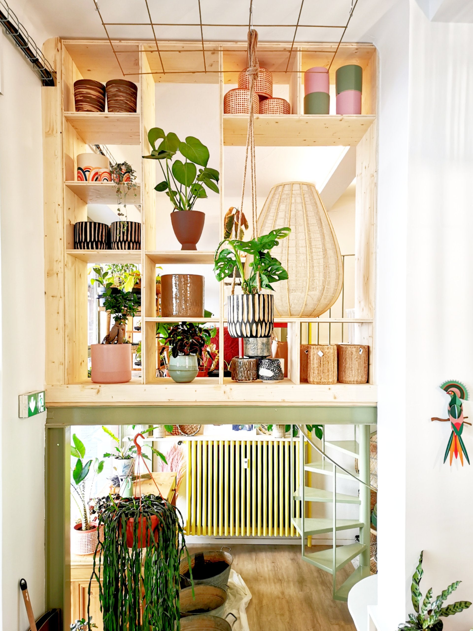 Bienvenue chez Tchungle 2.0 !