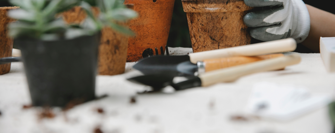 Notre mini guide des semis