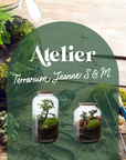 🌿 Jeanne Terrarium Workshop – Größe S oder M 🌿