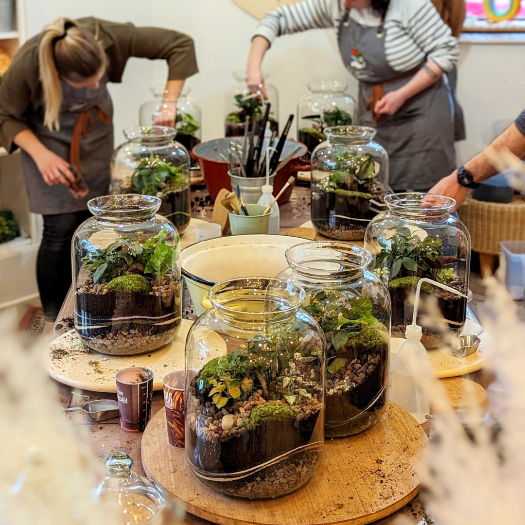 🌿 Jeanne Terrarium Workshop – Größe S oder M 🌿