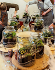 🌿 Jeanne Terrarium Workshop – Größe S oder M 🌿