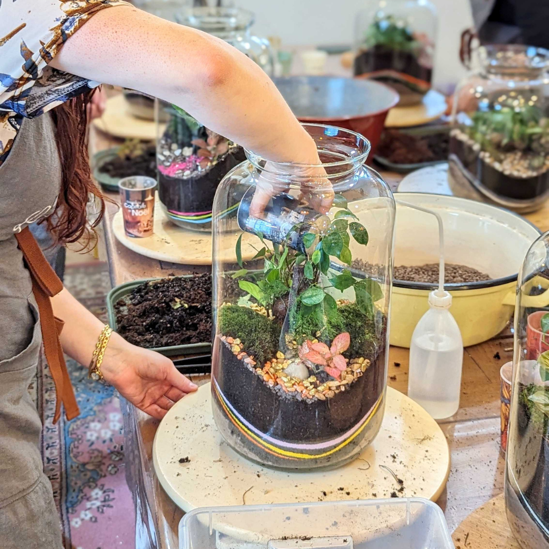 🌿 Jeanne Terrarium Workshop – Größe S oder M 🌿