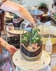 🌿 Jeanne Terrarium Workshop – Größe S oder M 🌿