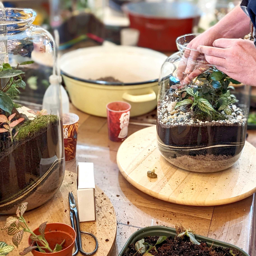 🌿 Jeanne Terrarium Workshop – Größe S oder M 🌿