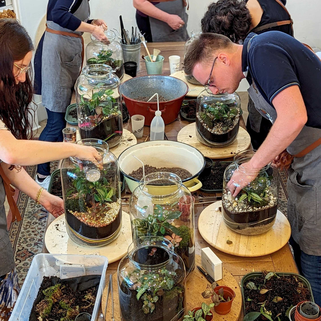 🌿 Jeanne Terrarium Workshop – Größe S oder M 🌿