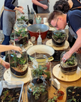 🌿 Jeanne Terrarium Workshop – Größe S oder M 🌿