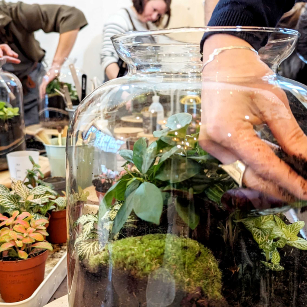 🌿 Jeanne Terrarium Workshop – Größe S oder M 🌿