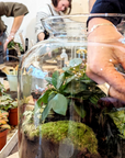 🌿 Jeanne Terrarium Workshop – Größe S oder M 🌿