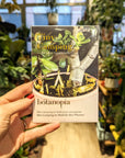 Botanopia | Décoration de plantes - Mini Camping pour tes plantes !