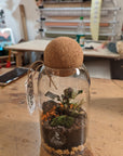 Terrarium Aimée - Taille S