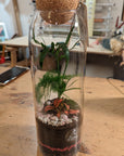 Terrarium Aimée - Taille L