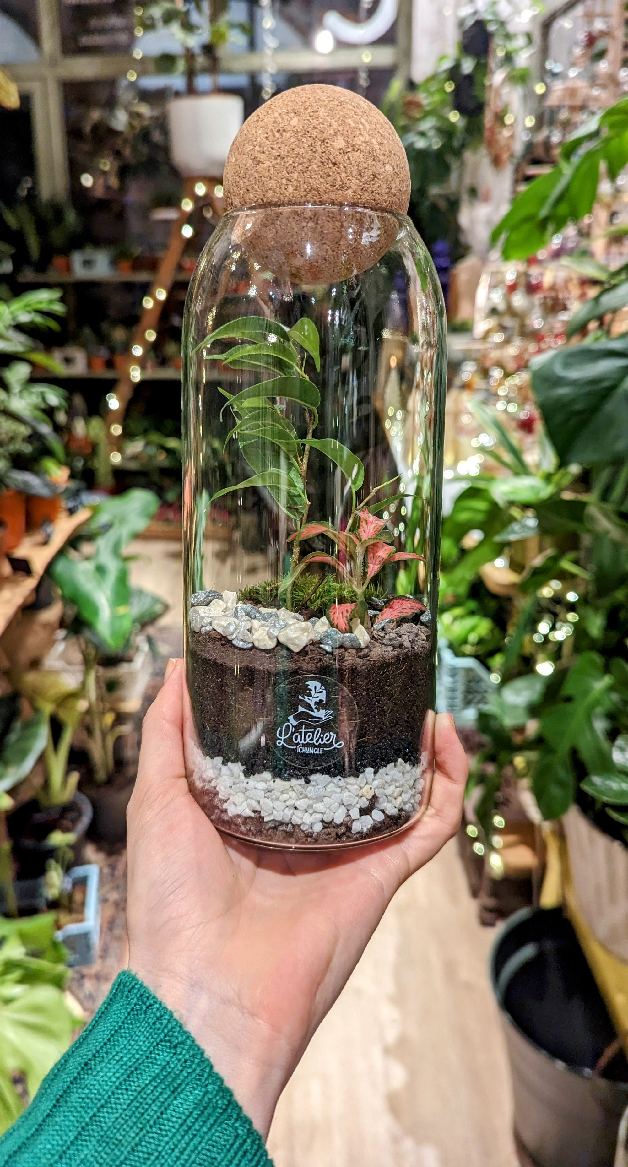 Terrarium Aimée - Taille M