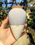 glitch | Ollas to plant