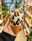 glitch | Ollas to plant