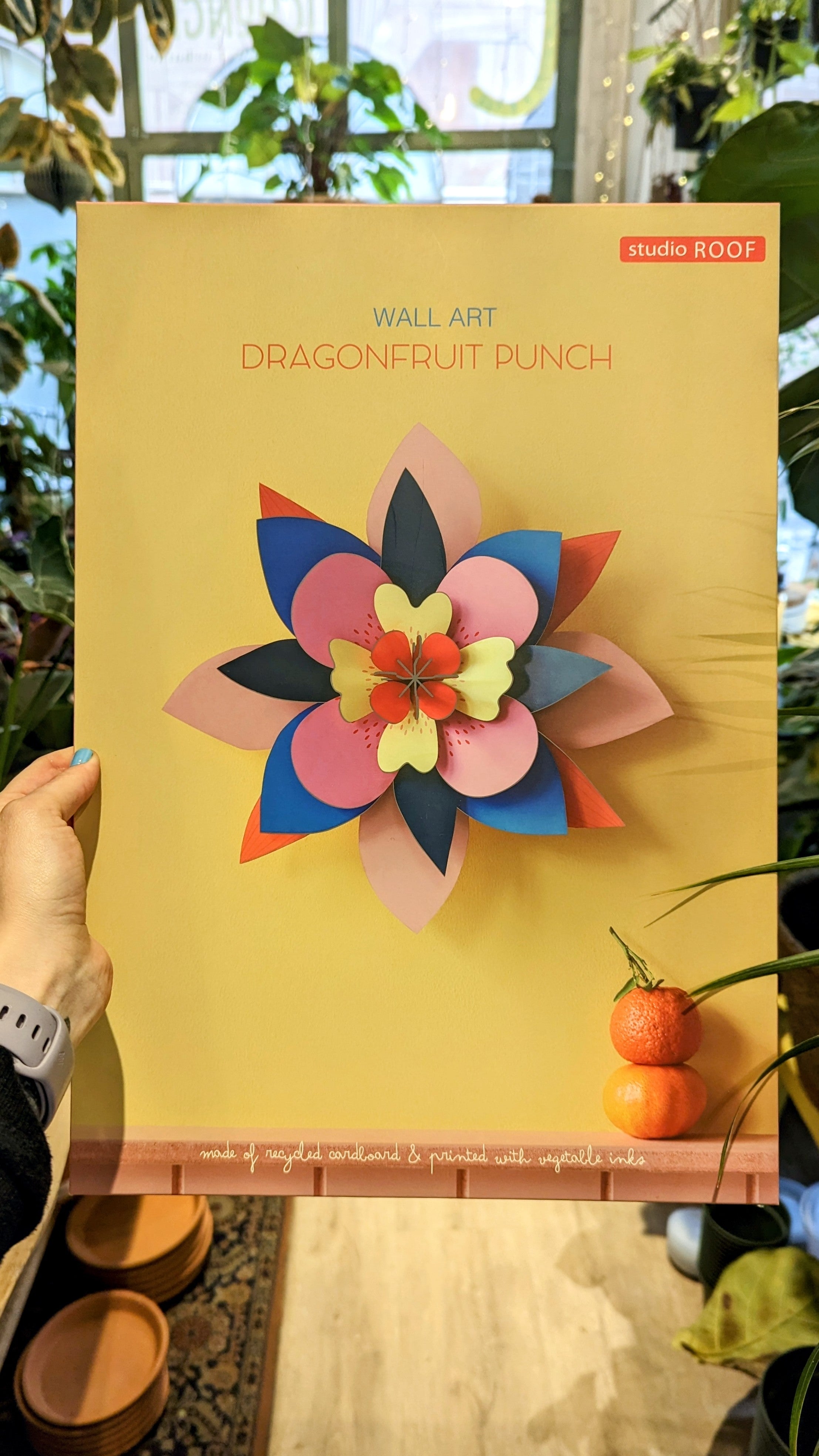 Dragonfruit Punch | Studio ROOF