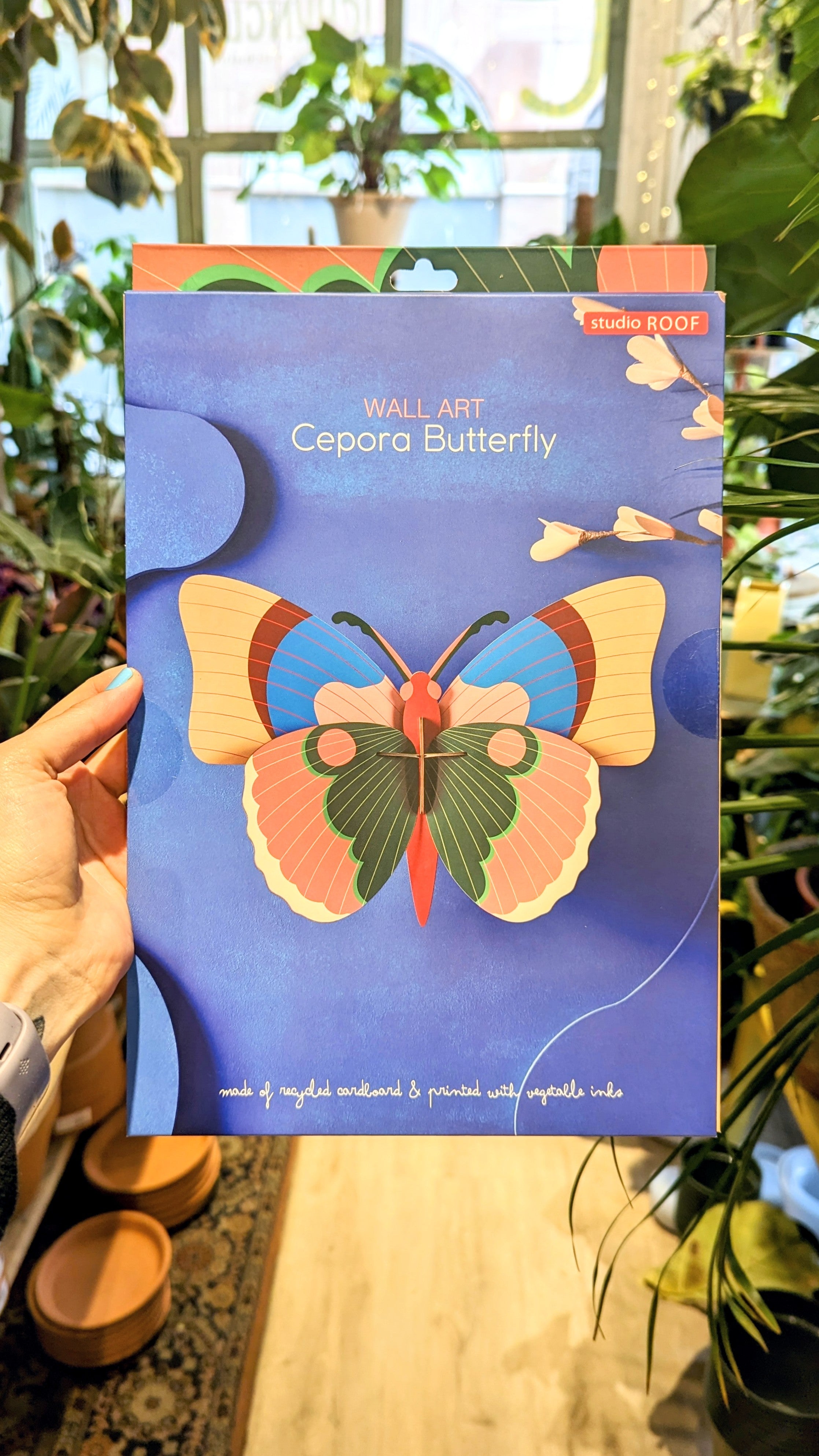 Cepora Butterfly | Studio ROOF