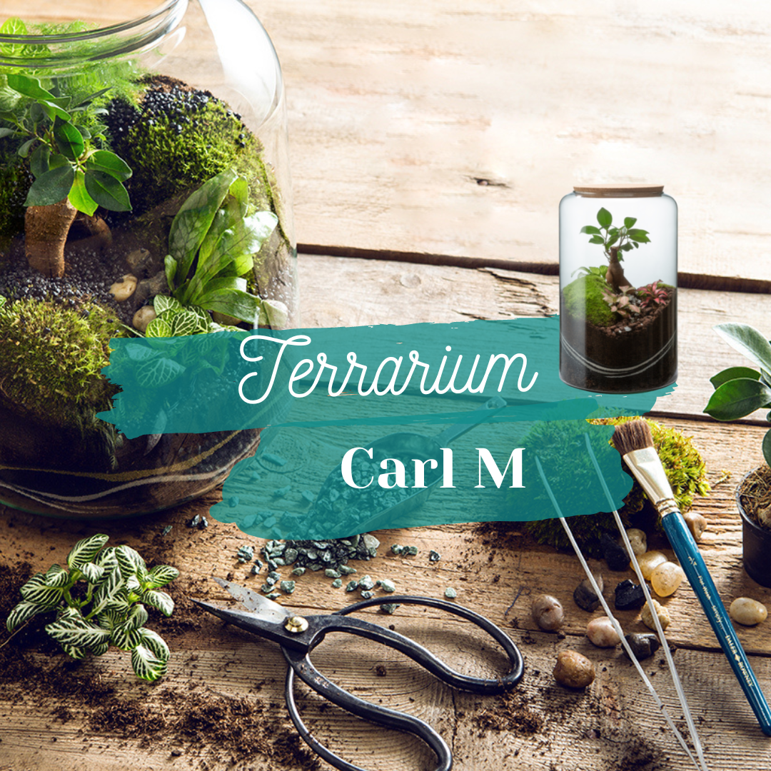 🌿 Atelier Terrarium Carl - Taille M 🌿