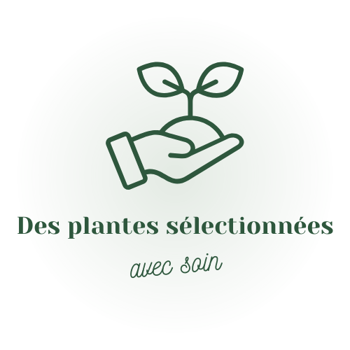 plantes sélectionnées avec soin Tchungle