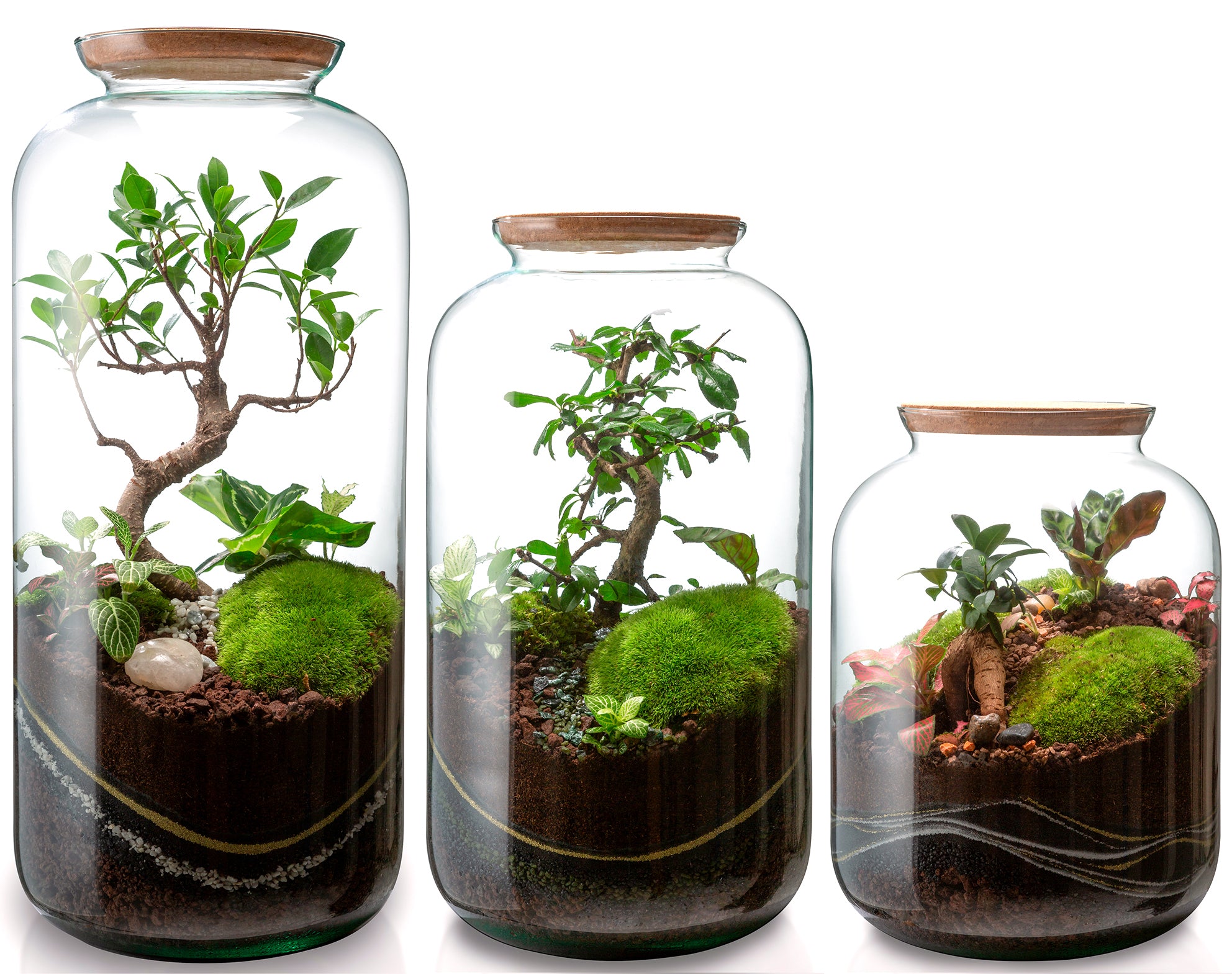 Terrarium Anna - Taille M