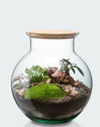Anna Terrarium - Größe M