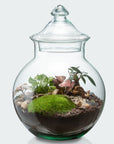Anna Terrarium - Größe M
