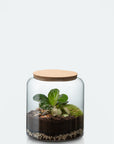 Carl Terrarium - Size S