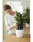 Elo | Self-watering insert (Several options)