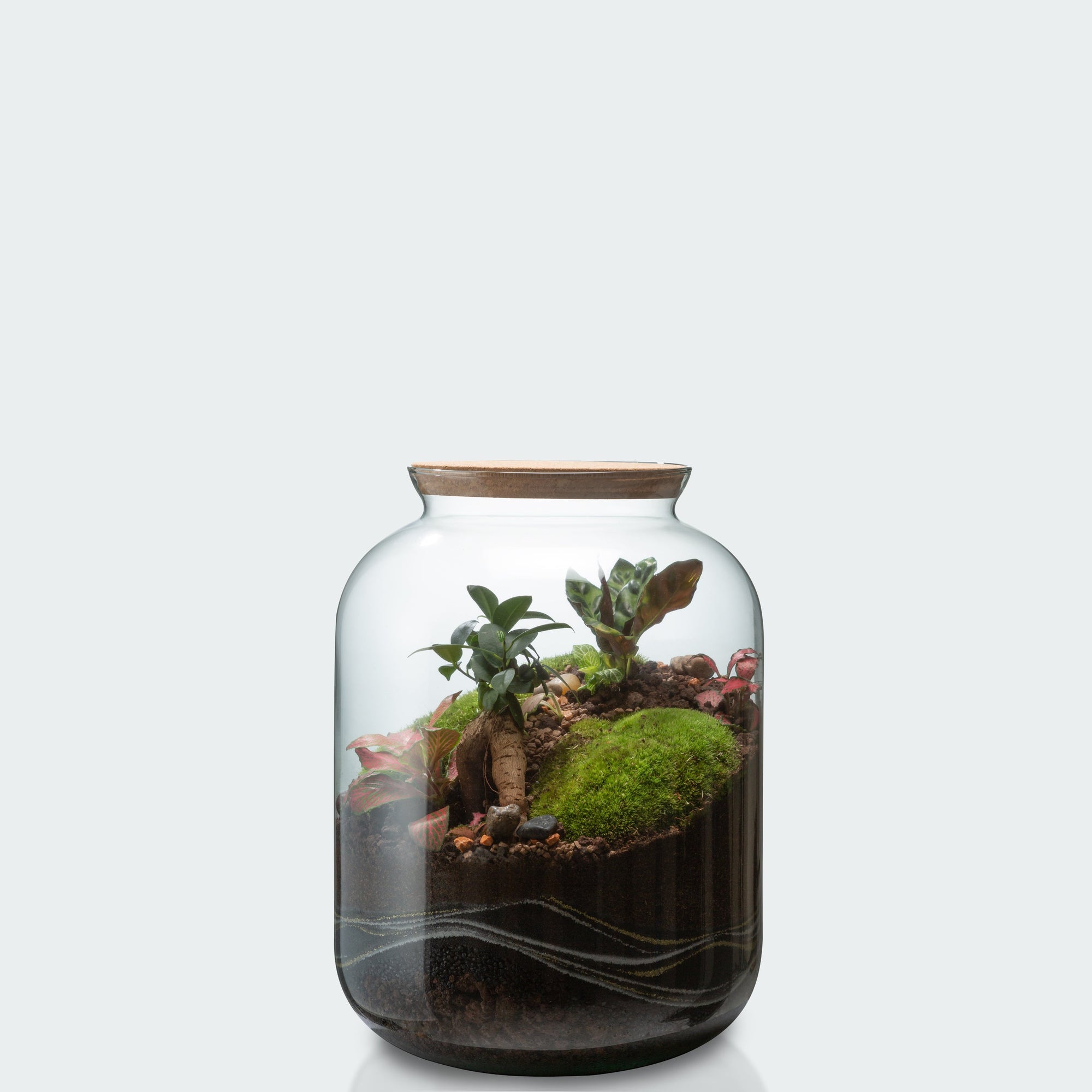 🌿 Jeanne Terrarium Workshop – Größe S oder M 🌿