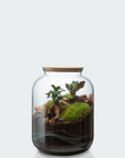 🌿 Jeanne Terrarium Workshop – Größe S oder M 🌿