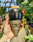 glitch | Ollas to plant