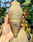 glitch | Ollas to plant