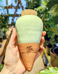 glitch | Ollas to plant