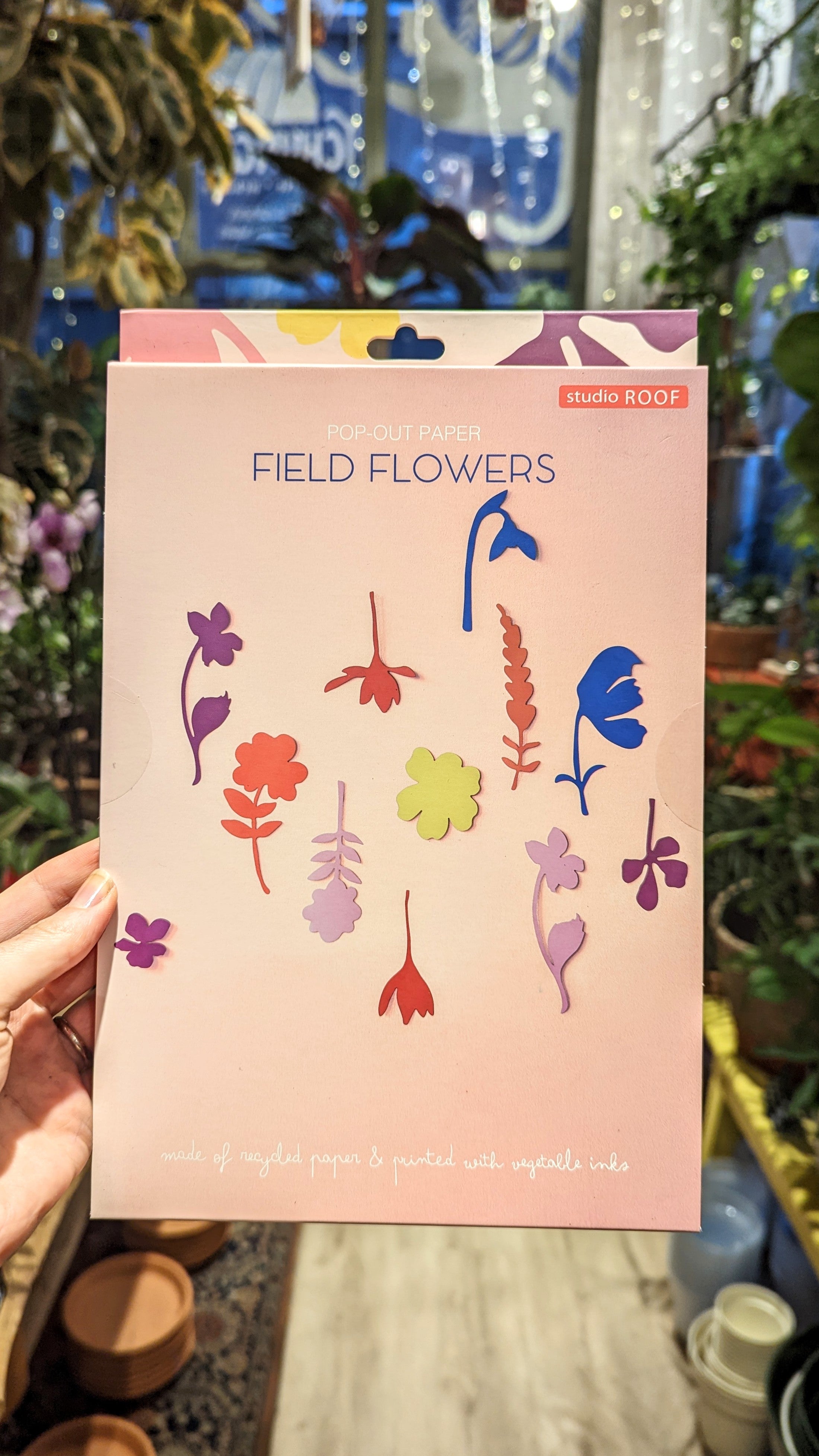 Le monde des fleurs sauvages (Field flowers) | Studio ROOF