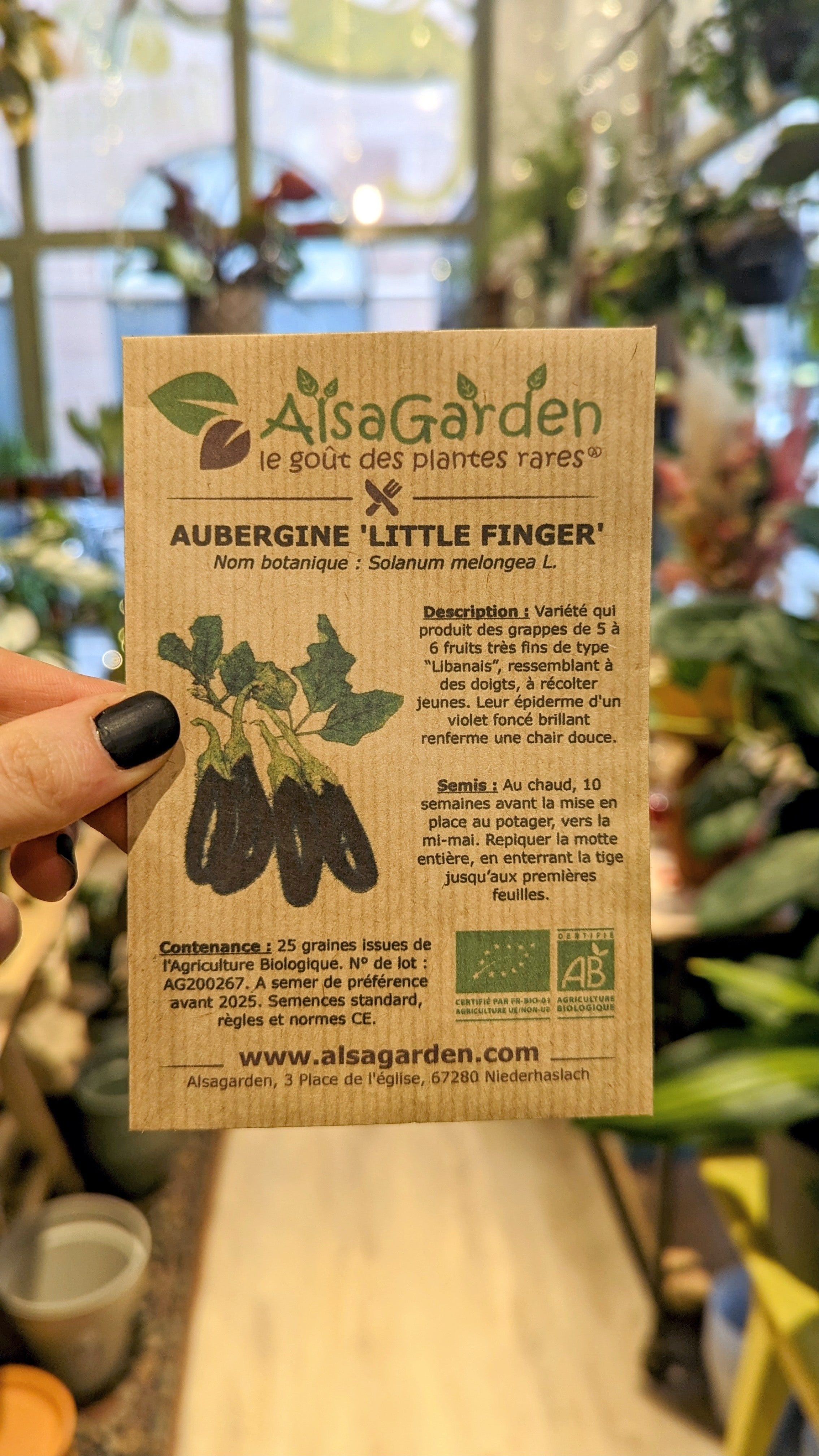 Aubergine &#39;Little Finger&#39; BIO | Alsagarden