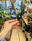Mini tuteur Doré - Perch | Botanopia