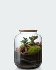 Jeanne Terrarium - Größe S