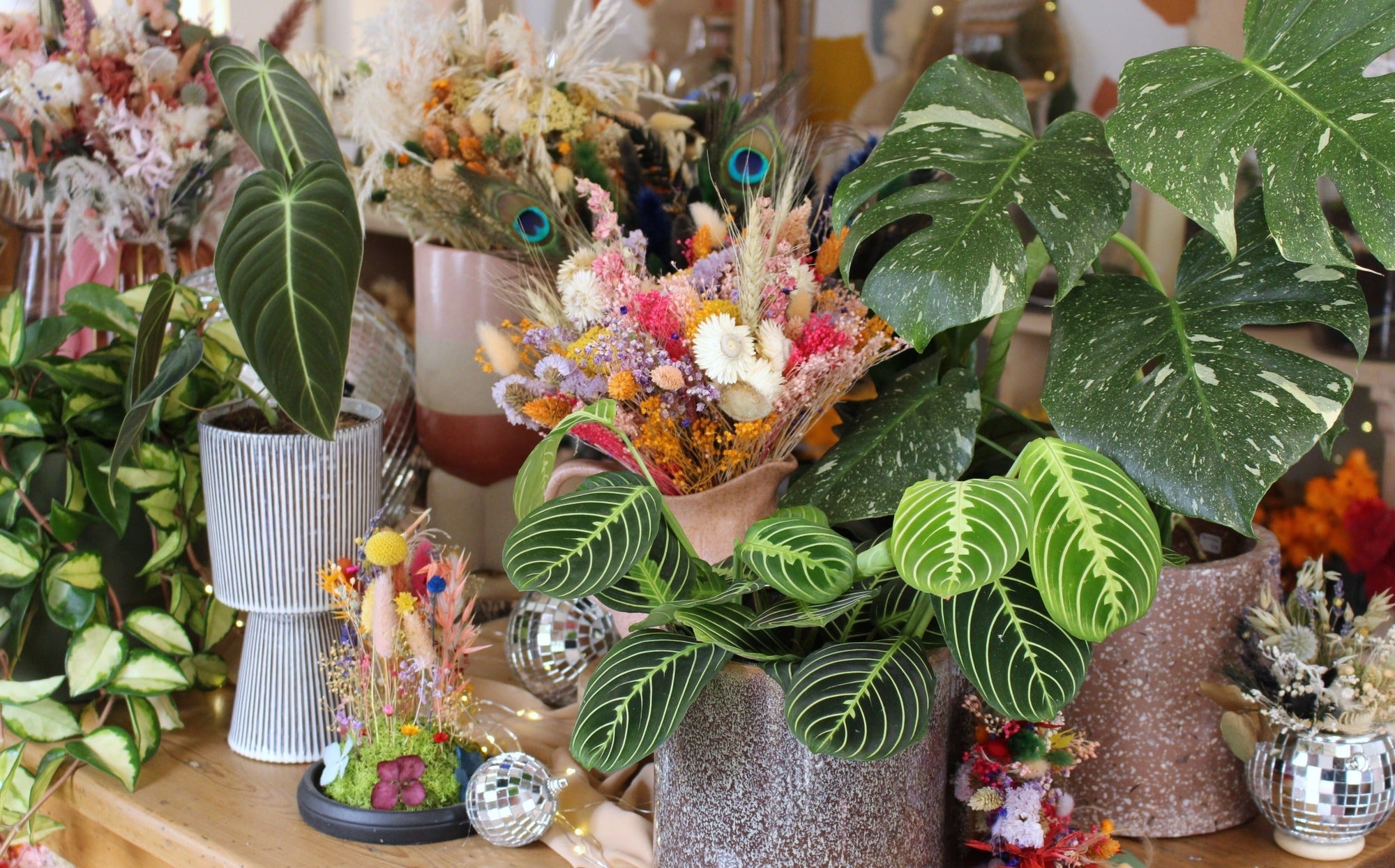 Guide d'achat : où trouver de beaux accessoires de jardinage à Strasbourg 🌿