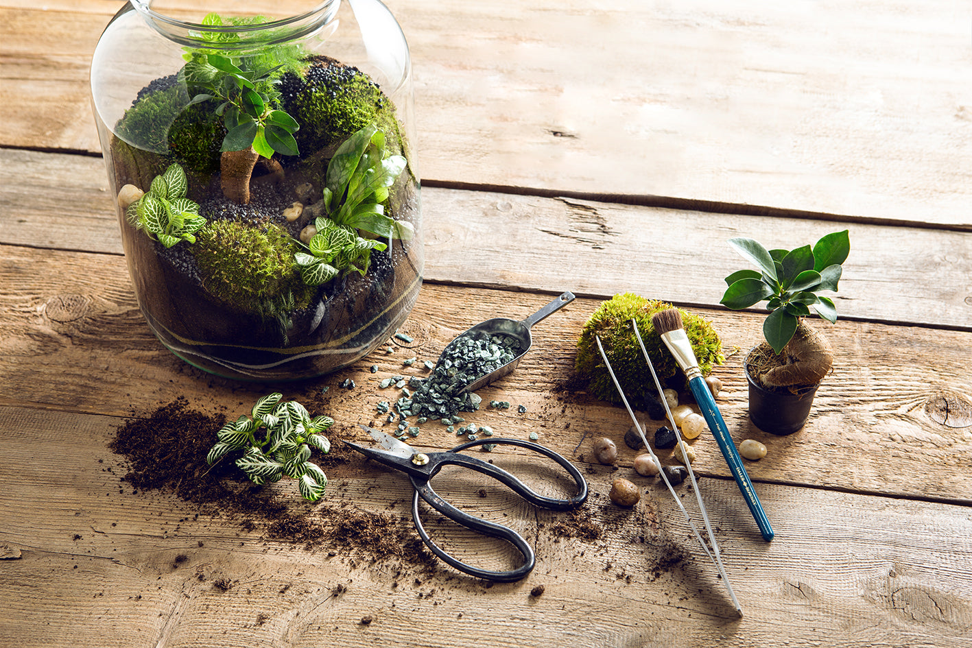 Kits d'entretien Terrarium