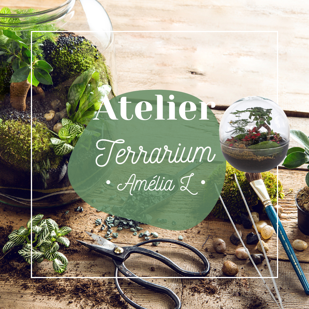 🌳 Amélia Terrarium Workshop – Größe L 🌳