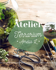 🌳 Amélia Terrarium Workshop – Größe L 🌳
