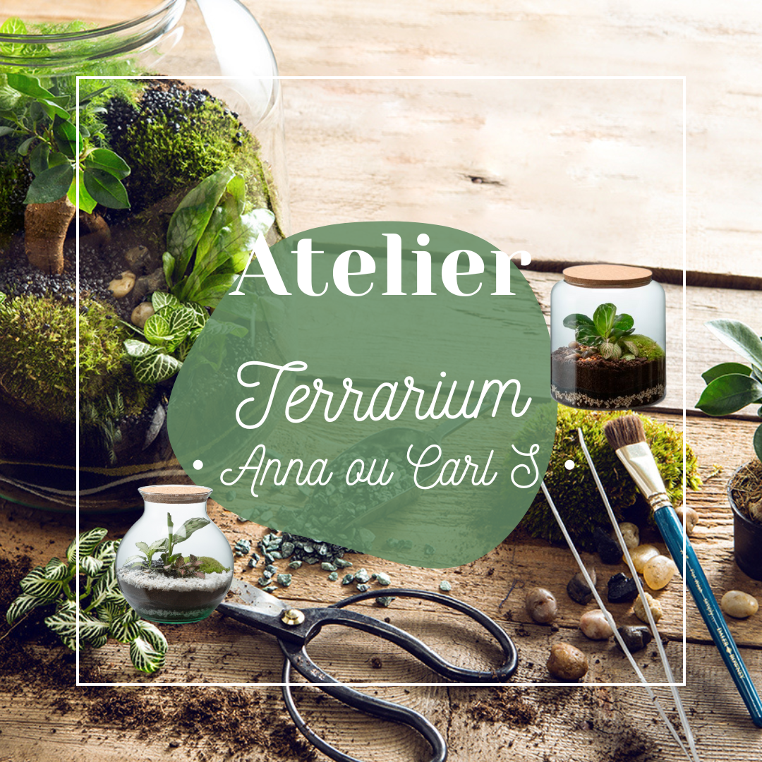 🍃 Atelier Terrarium Carl ou Anna - Taille S 🍃