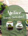 🍃 Atelier Terrarium Carl ou Anna - Taille S 🍃