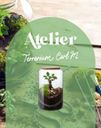 🌿 Atelier Terrarium Carl - Taille M 🌿