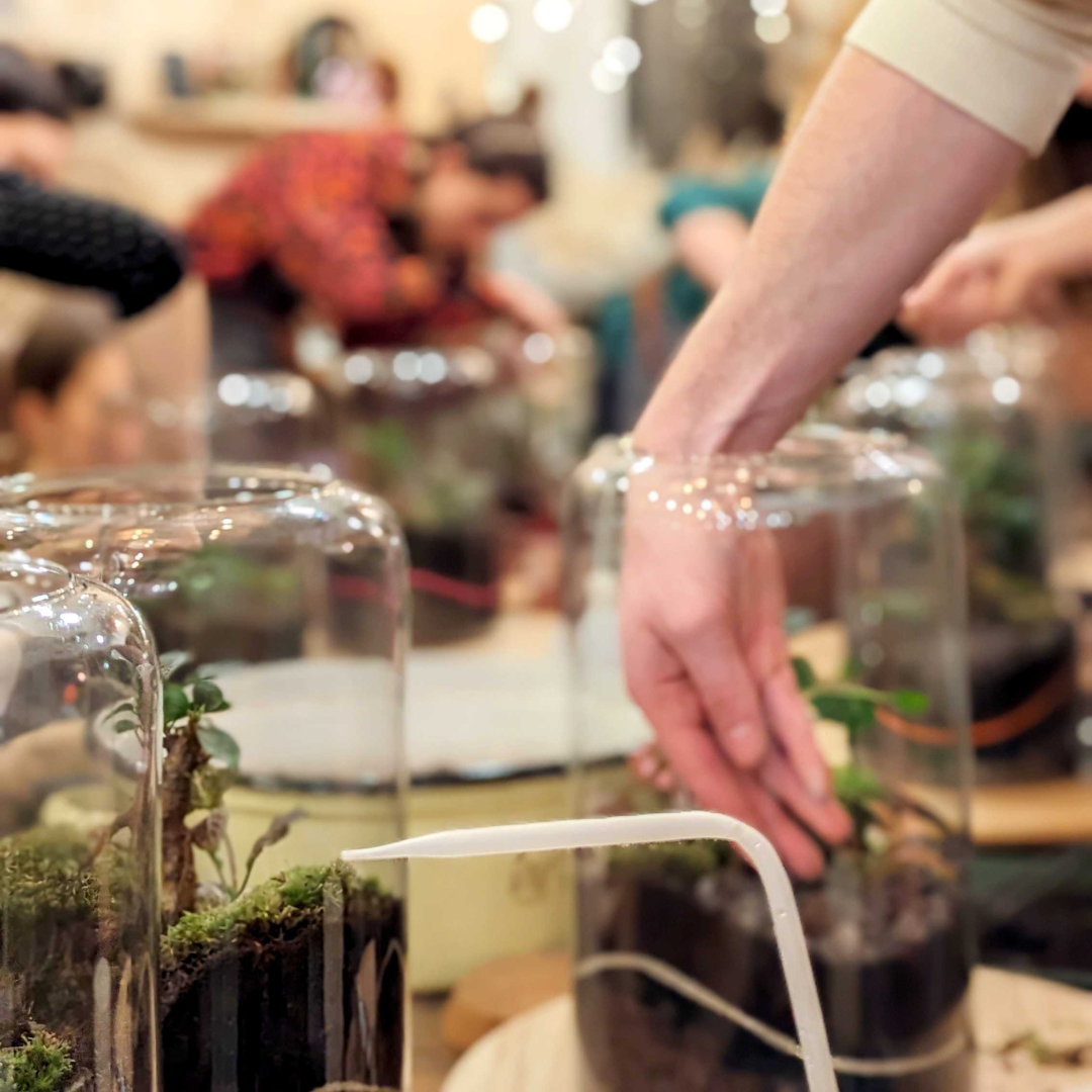 🌿 Atelier Terrarium Carl - Taille M 🌿