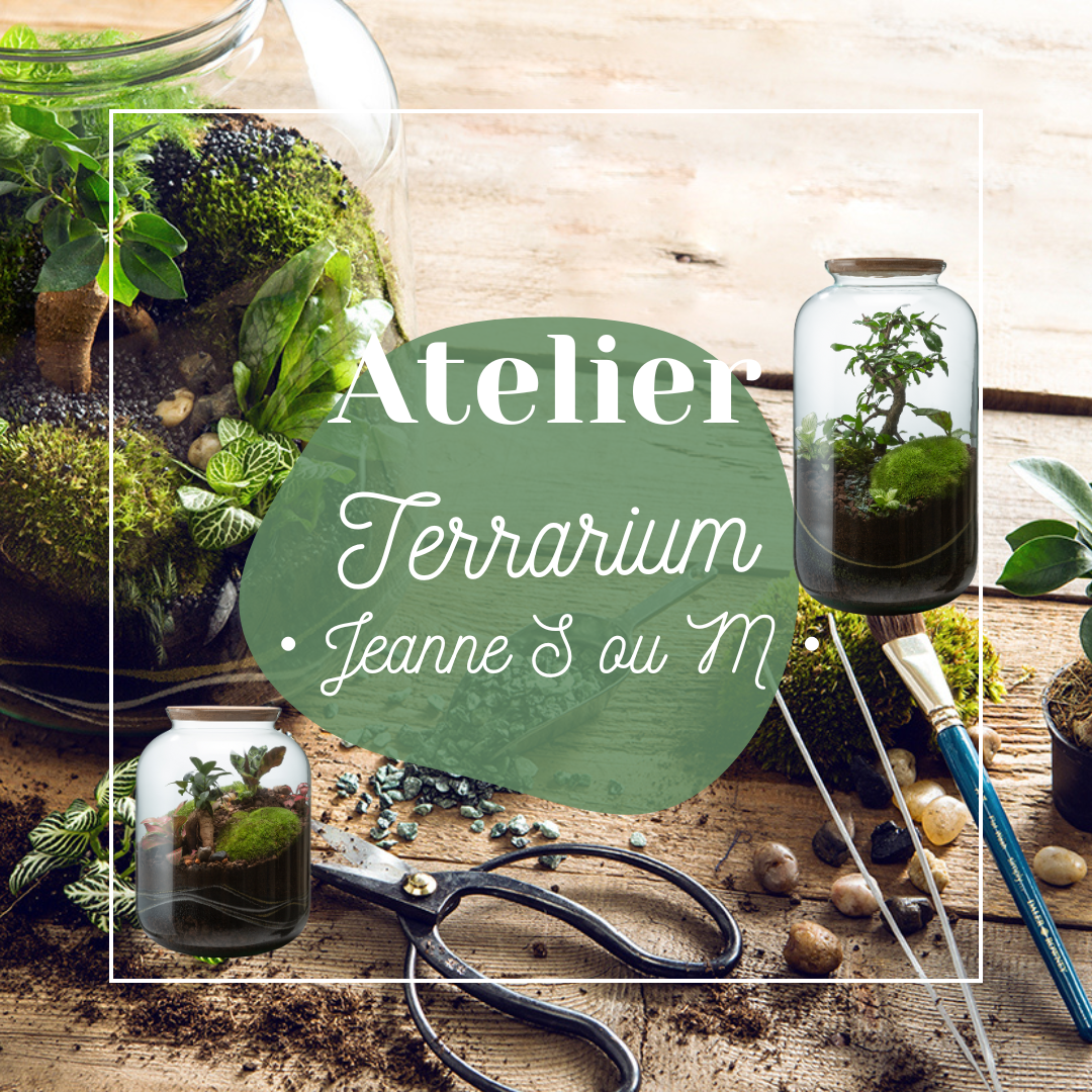 🌿 Atelier Terrarium Jeanne S ou M🌿