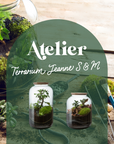 🌿 Atelier Terrarium Jeanne S ou M🌿