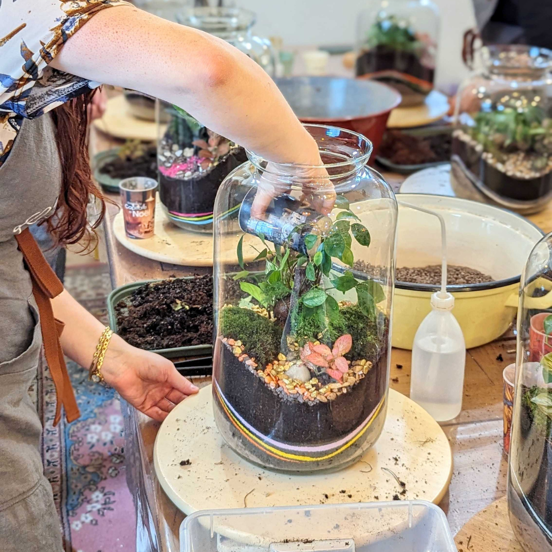 🌿 Atelier Terrarium Jeanne S ou M🌿