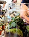 🌿 Atelier Terrarium Jeanne S ou M🌿